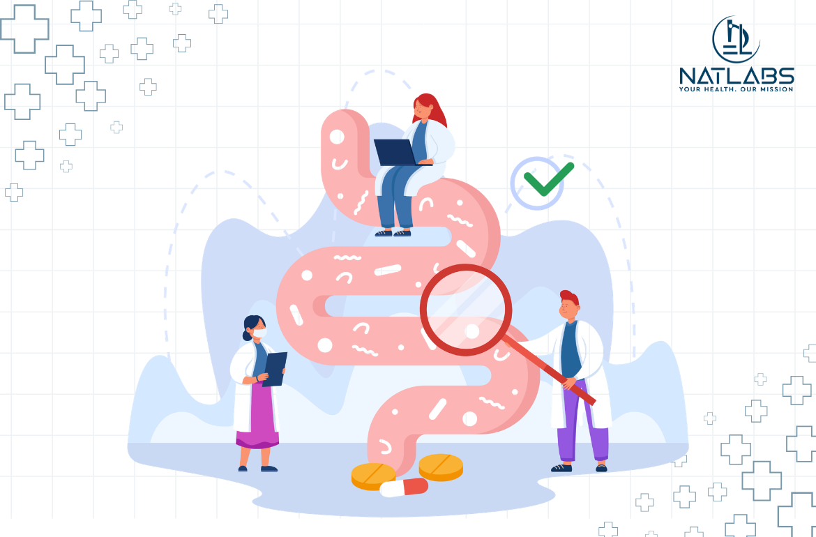 Gut Health Isn’t a Trend — It’s a Testable System